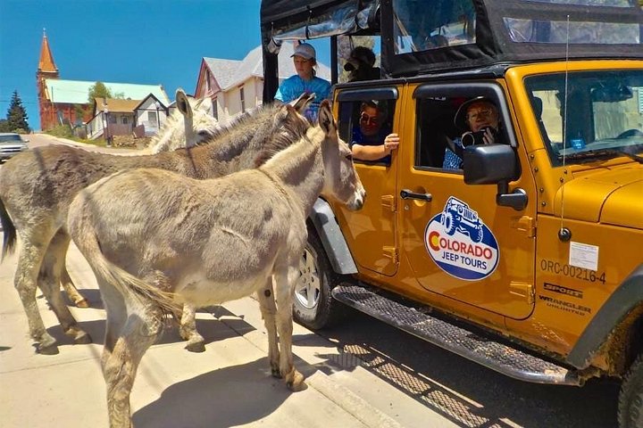 Tour in jeep della Gold Belt Scenic Byway da Cañon City