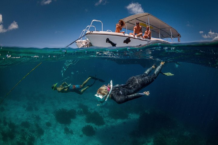 Double Dip Snorkel Trip