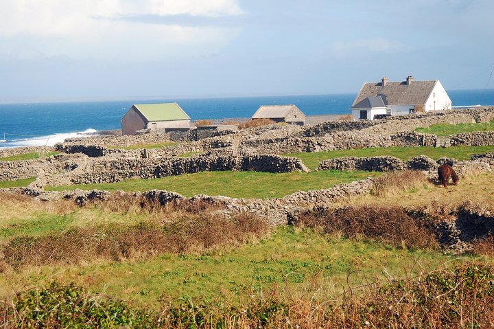 Aran Island, Cliffs of Moher og cruisetur fra Galway. Veiledet.