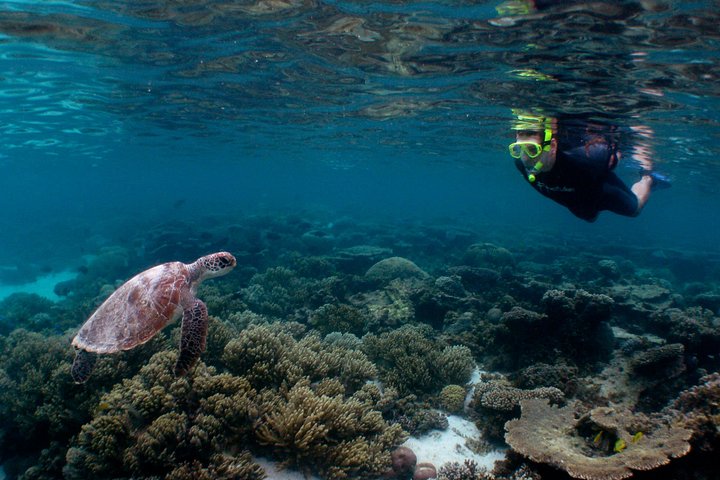 3 Nächte Ningaloo Reef Schnorchel- und Tauchausflug von Coral Bay
