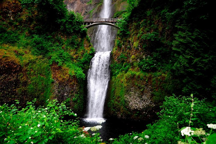 Columbia River Gorge Wasserfälle & Mt Hood Tour von Portland, OR