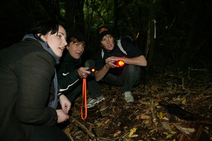 Zeelandia Eco Wildlife Night Tour met kleine groep
