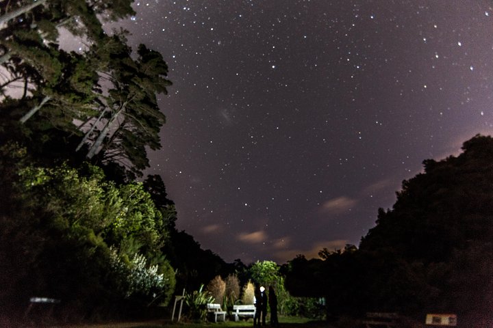 Zeelandia Eco Wildlife Night Tour met kleine groep