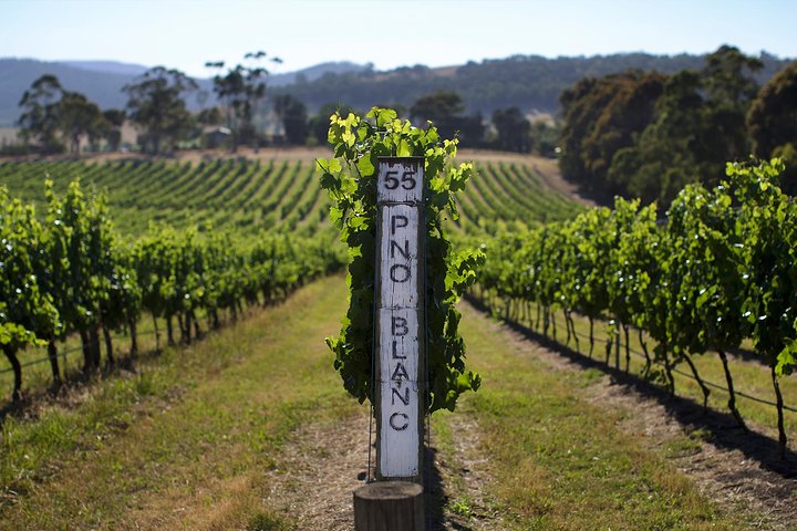 Restauranter i nærheten av Ultimate Yarra Valley Chandon, Soumah & DE Bortoli