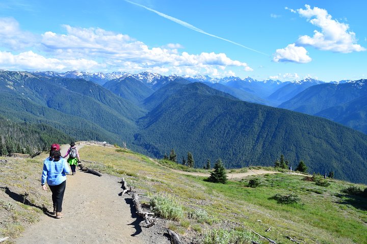 Rondleiding door Sol Duc, Lake Crescent en Hurricane Ridge in Olympic National Park