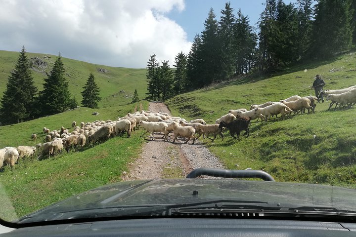 Halve dag 4x4 Tour in de oostelijke Karpaten