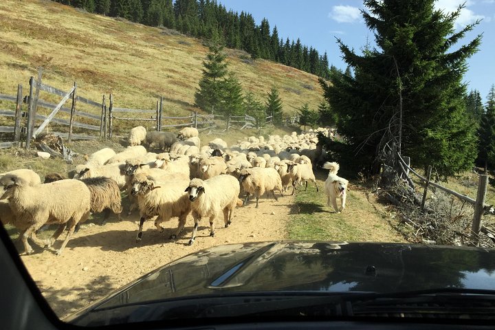Halve dag 4x4 Tour in de oostelijke Karpaten