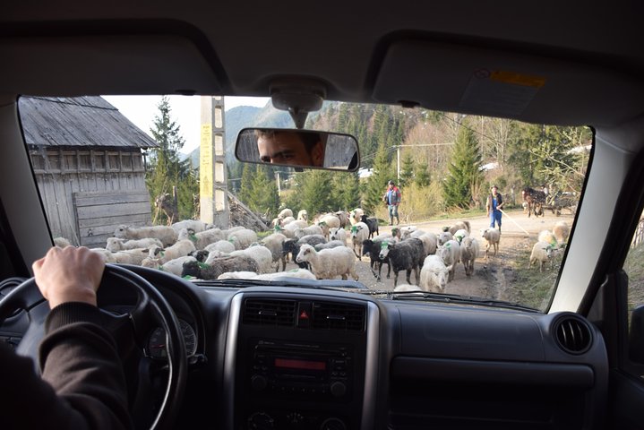 Halve dag 4x4 Tour in de oostelijke Karpaten