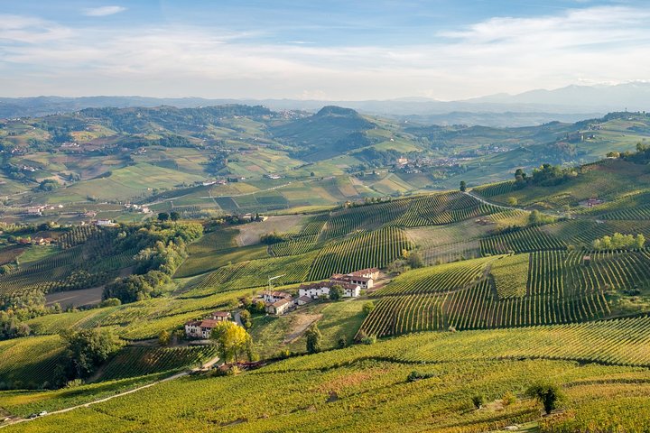 Tour Privado: Degustação de Vinhos Barolo na área de Langhe a partir de Turim