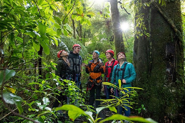Hoteller i nærheden af Rotorua Canopy Tours: 2.5Hour Native Forest Zipline Adventure