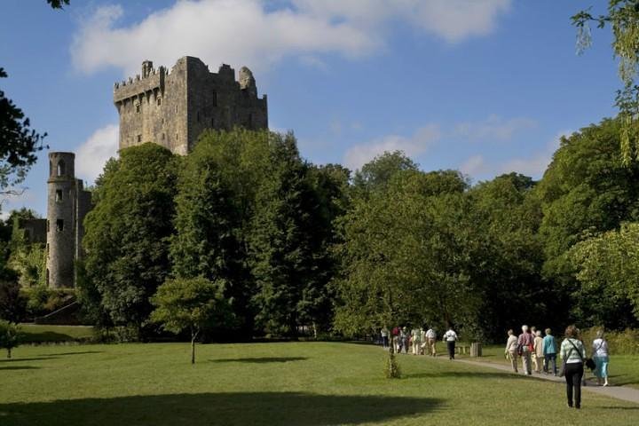 Escursione a terra: visita del castello di Cork e Blarney da Cobh in treno