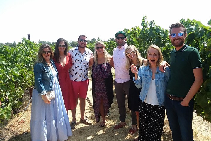 Excursión a la región vinícola para grupos pequeños desde San Francisco con degustaciones