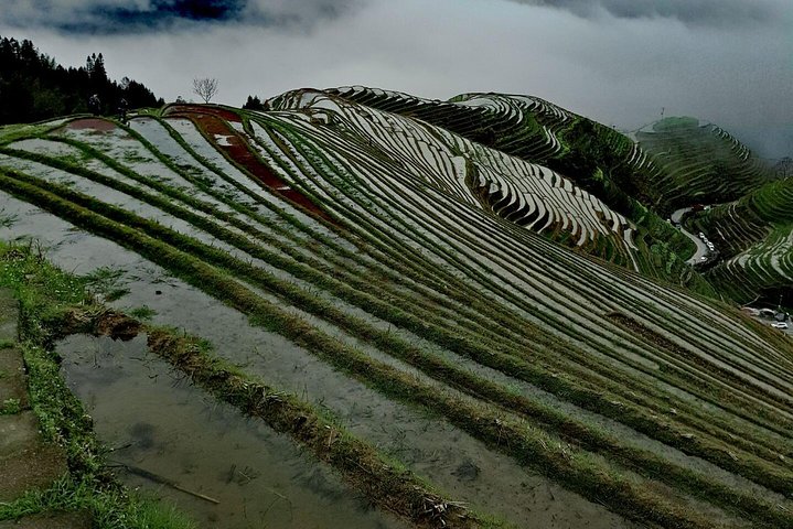 Trasferimento privato da Fenghuang a Guilin e fermate alle terrazze di Longji