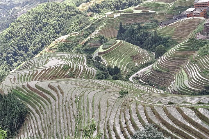 Trasferimento privato da Fenghuang a Guilin e fermate alle terrazze di Longji