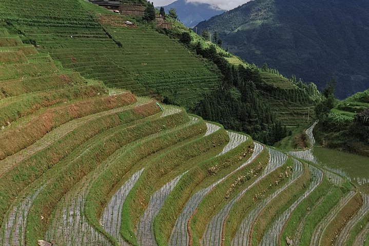Trasferimento privato da Fenghuang a Guilin e fermate alle terrazze di Longji