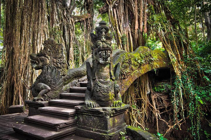 Ubud Private Tour Rice Terraces Temples Waterfalls.