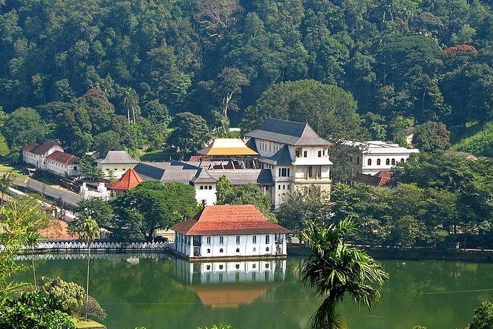 Destaques de 03 dias de Sigiriya, Kandy, Nuwara Eliya, Ella e Udawalawe