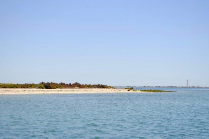Eco Boat Tour i Ria Formosa Lagoon från Faro
