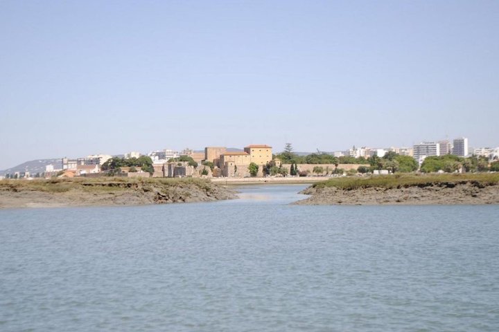 Eco Boat Tour i Ria Formosa Lagoon från Faro