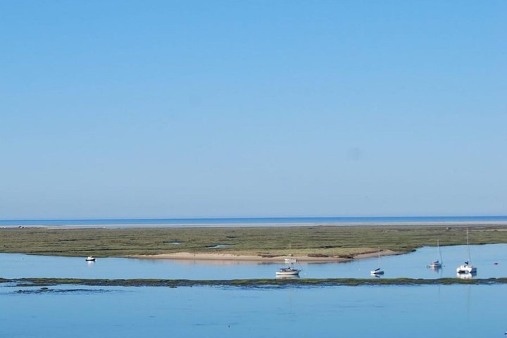 Eco Boat Tour i Ria Formosa Lagoon från Faro