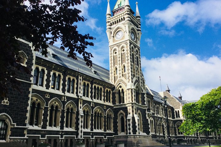 Dunedin City Highlights, Otago Peninsula Scenery & Albatross Guidet tur
