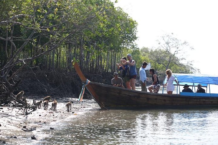 Halvdags mangrove-tur med kajakk eller langhalebåt