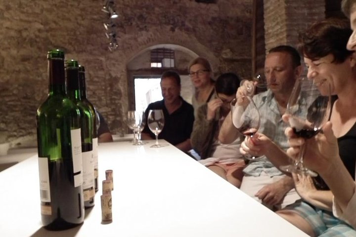 Tour privato di vino e olio nella regione del vino Priorat