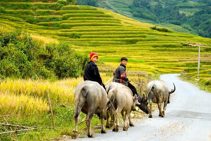Sapa 2 Días 1 Noche Desde Hanoi - Pernocte en Ta Van Village