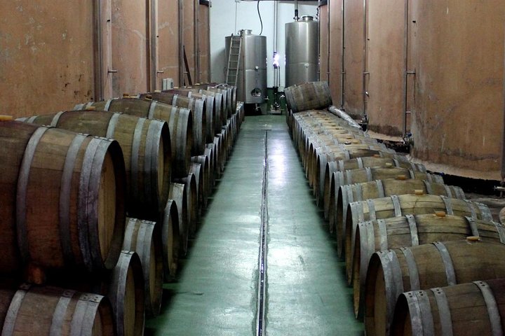 Besök Bodegas Teneguía vingård i La Palma med vinprovning