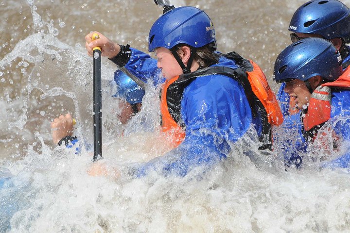 Heldags Royal Gorge Whitewater Rafting Adventure Cañon City CO