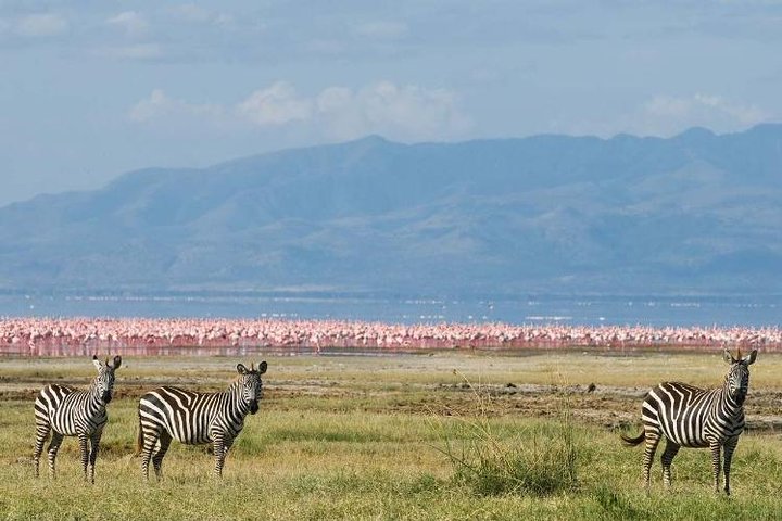 10-dagers Kenya og Tanzania 4WD Safari Adventure