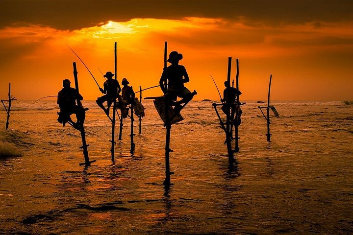 Tour do Dia de Galle: Safari de barco, Forte holandês, Pesca de palha e tartarugas