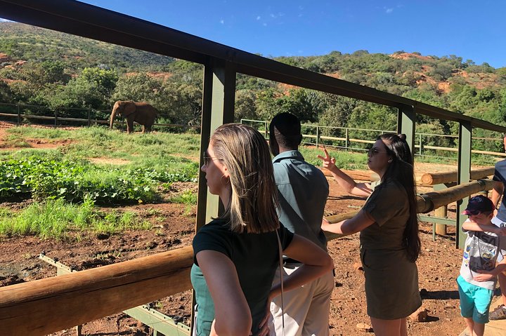 Tour zum Elefantenschutzgebiet ab Johannesburg