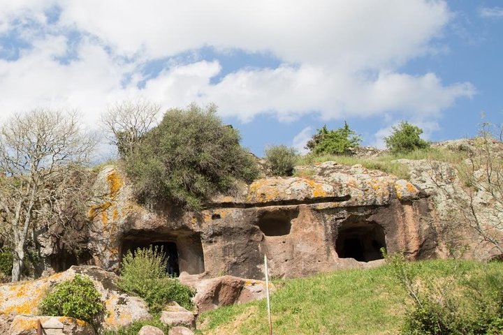 Cagliari: Fantastiska Bosa och förhistoriska Sardinien