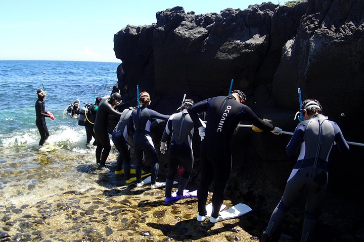 Experience diving Scuba diving in Japanese waters!! It's your first time.Beginner to veteran instructors will guide you with kindness and care.