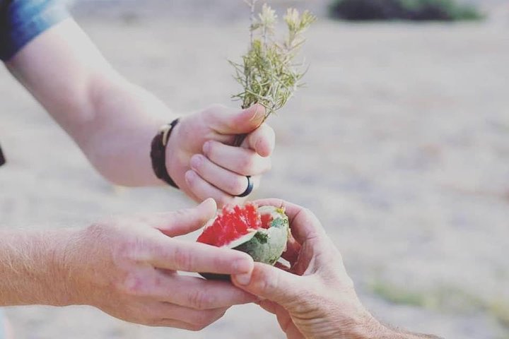 Excursão gastronômica e vinícola na fazenda familiar de Santorini com aula de culinária