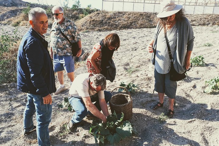 Excursão gastronômica e vinícola na fazenda familiar de Santorini com aula de culinária