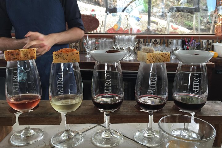 PREMIUM VIN TASTING = Waiheke Island Wine Tours MAX 11 kunder!