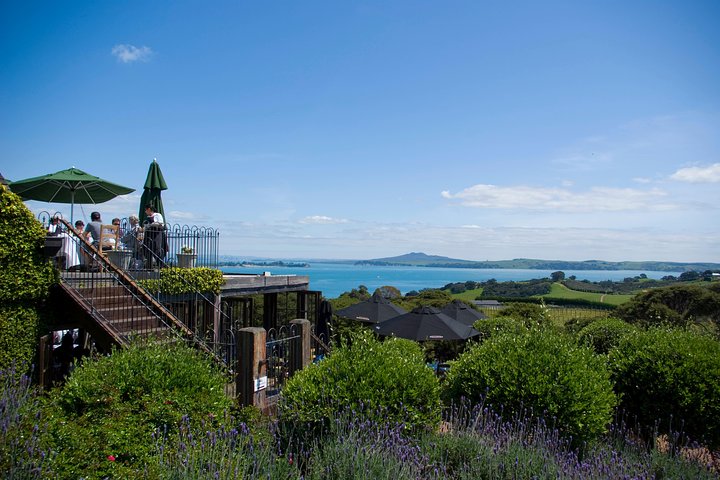 PREMIUM VIN TASTING = Waiheke Island Wine Tours MAX 11 kunder!