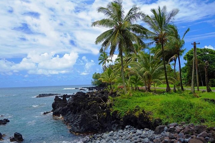 Maui: berømte vej til Hana vandfald og frokost af Mercedes Van