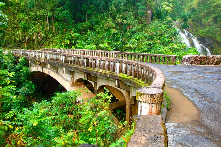 Maui: berømte vej til Hana vandfald og frokost af Mercedes Van