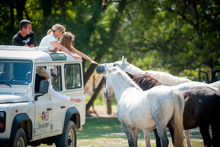 3,5 timmars Camargue 4x4 Safari från Le Grau-du Roi