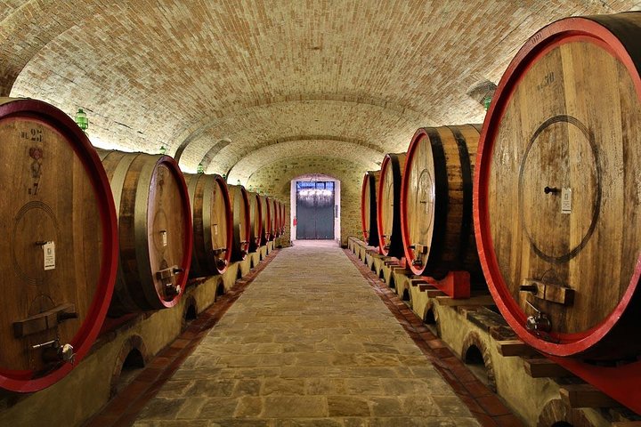 Safaris de Vinhos de Pequeno Grupo: Tour de Degustação de Vinhos da Toscana a partir de Florença