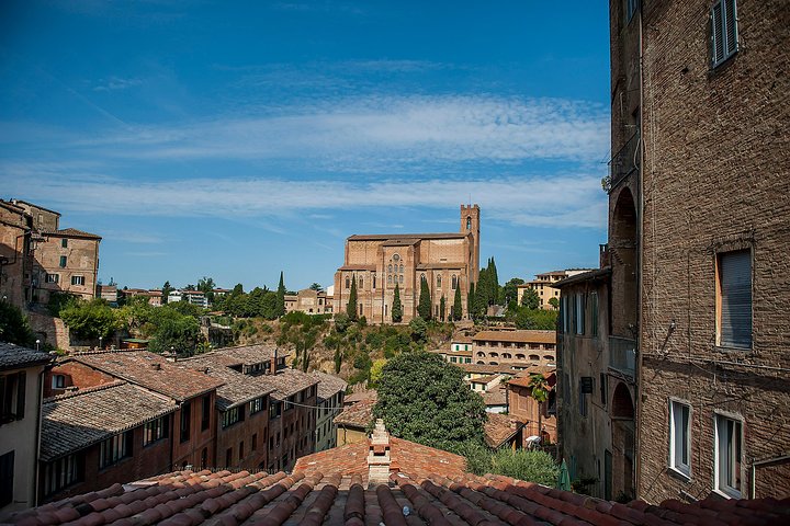 Excursion d'une journée en Toscane au départ de Florence : Sienne, San Gimignano, Pise et déjeuner dans une cave