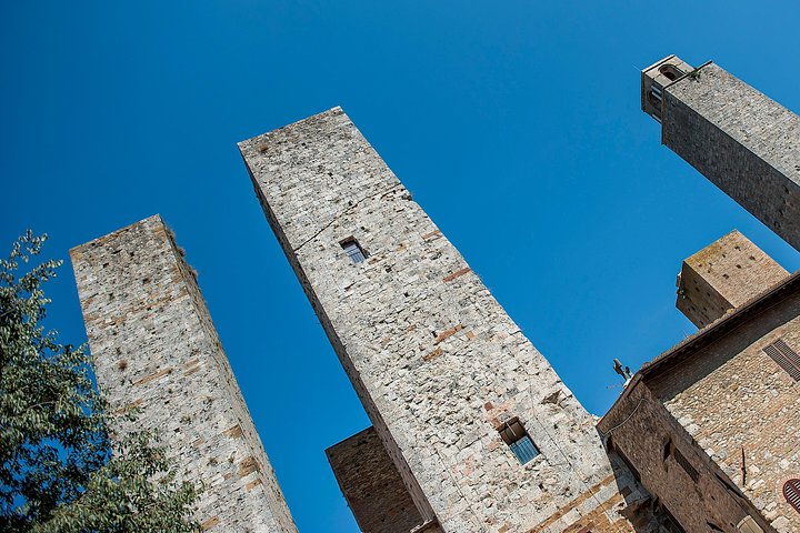 Excursion d'une journée en Toscane au départ de Florence : Sienne, San Gimignano, Pise et déjeuner dans une cave