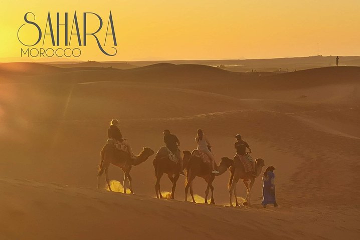 1 noche todo incluido paseo en camello y campamento en el desierto