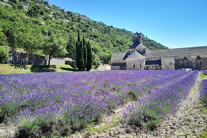 Arles Kleine groepsreis: privé dagtocht naar de dorpen van de Luberon