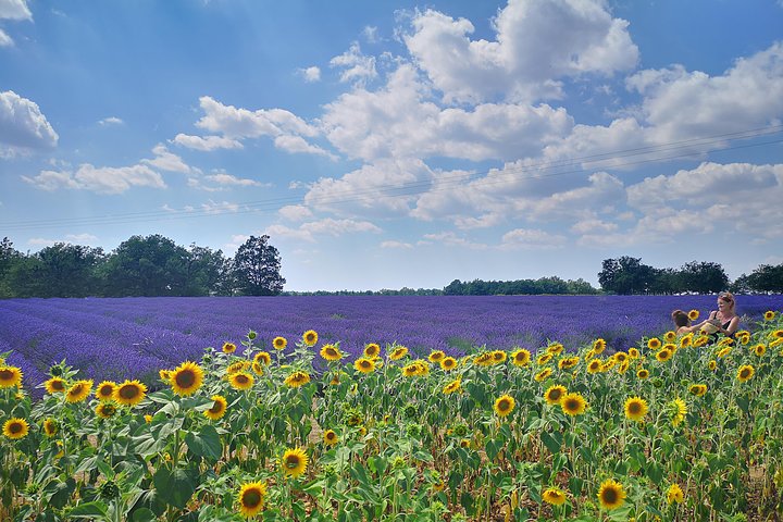 Arles Kleine groepsreis: privé dagtocht naar de dorpen van de Luberon