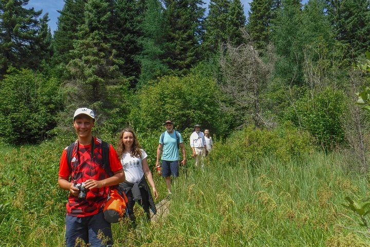 Excursion de trois jours en canot au parc Algonquin - Safari pour les orignaux et les castors