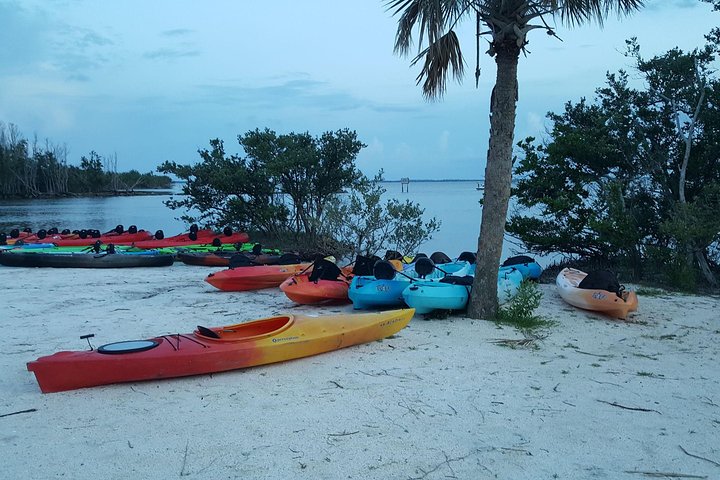 Florida Bioluminescentie Kajaktocht (Titusville)